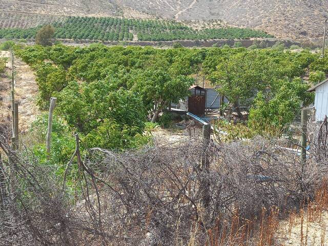 #24-004 - Parcela de agrado para Venta en Petorca - V - 1