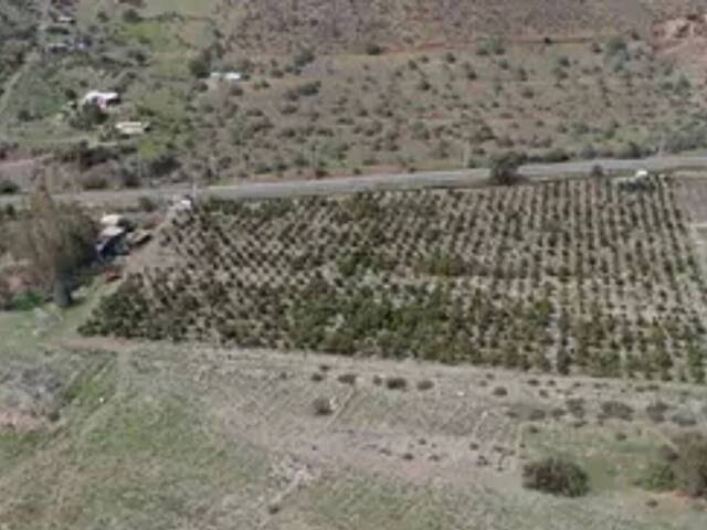 #24-004 - Parcela de agrado para Venta en Petorca - V - 3