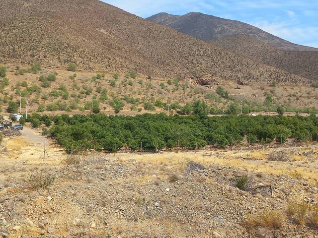 #24-004 - Parcela de agrado para Venta en Petorca - V - 2