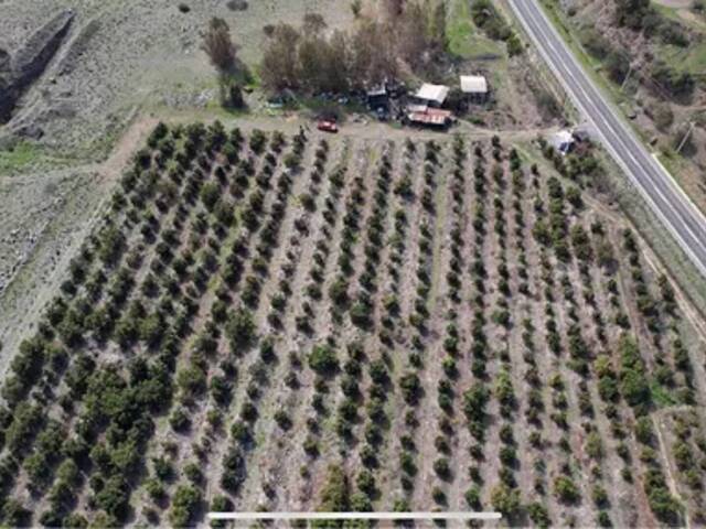 Parcela de agrado para Venta en Petorca - 4