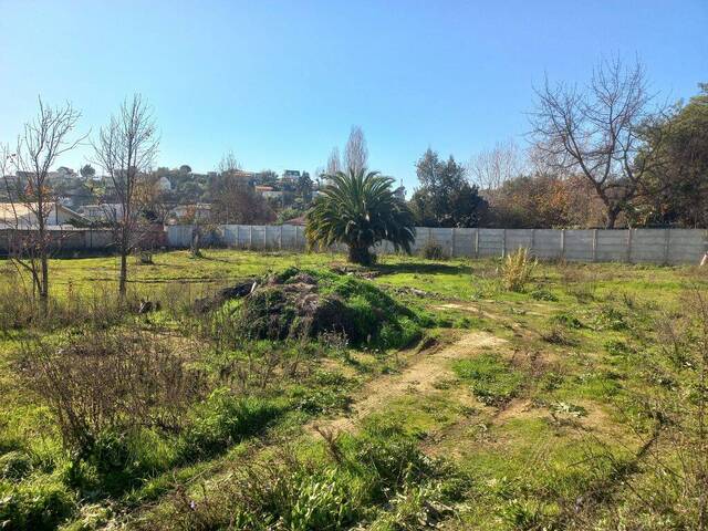 #25-005 - Quinta para Arriendo en Villa Alemana - V - 2