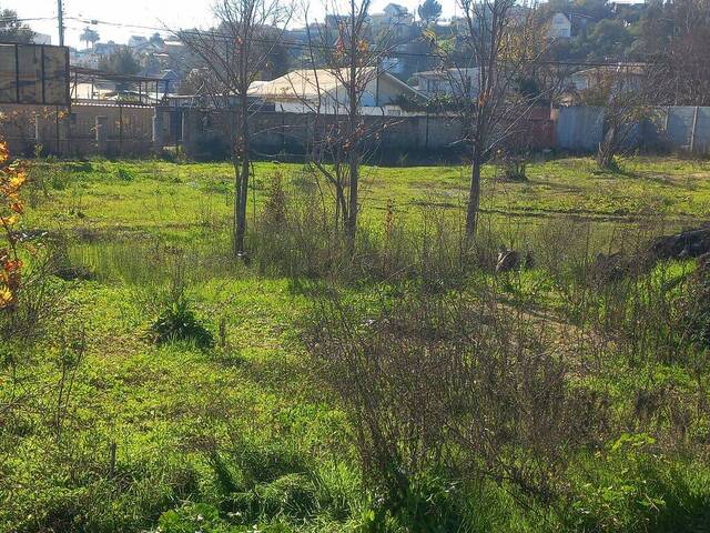 #25-005 - Quinta para Arriendo en Villa Alemana - V - 3