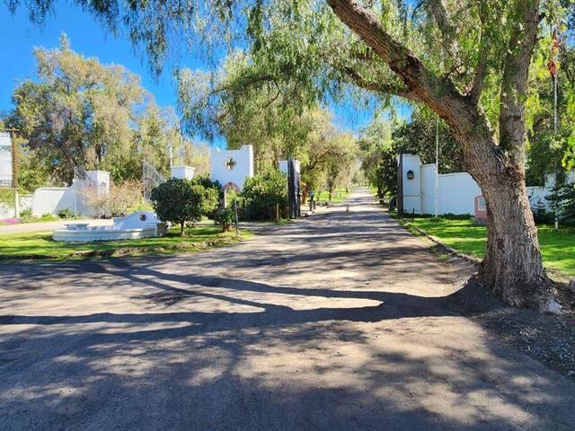 Parcela para Venta en Rinconada - 5