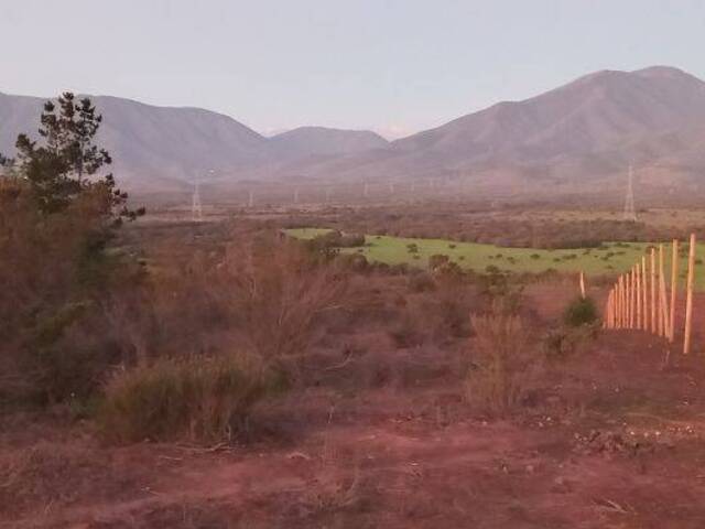 Parcela para Venta en Quintero - 4