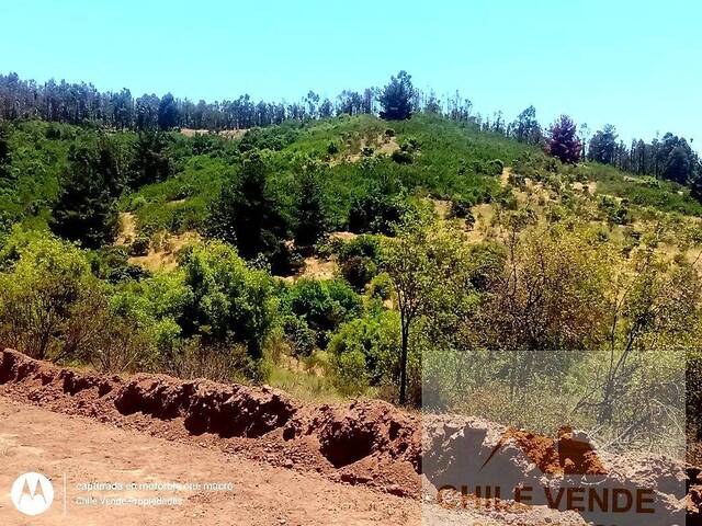 #20-031 - Parcela para Venta en Quintero - V