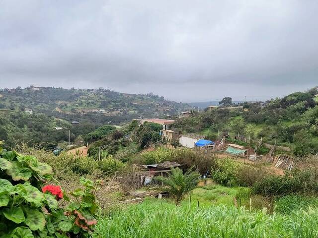 #24-010 - Parcela para Venta en Limache - V