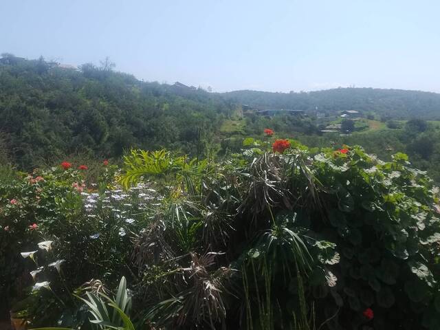 #24-010 - Parcela para Venta en Limache - V - 3