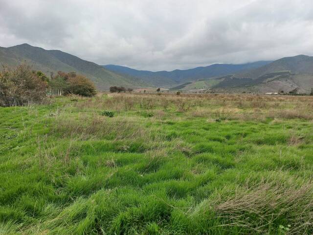 #25-016 - Quinta para Venta en Petorca - V - 1