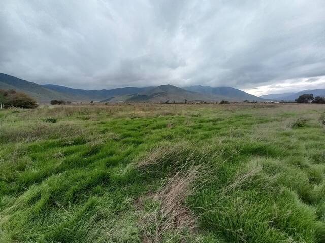 #25-016 - Quinta para Venta en Petorca - V - 2