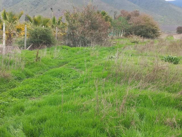 #25-016 - Quinta para Venta en Petorca - V - 3