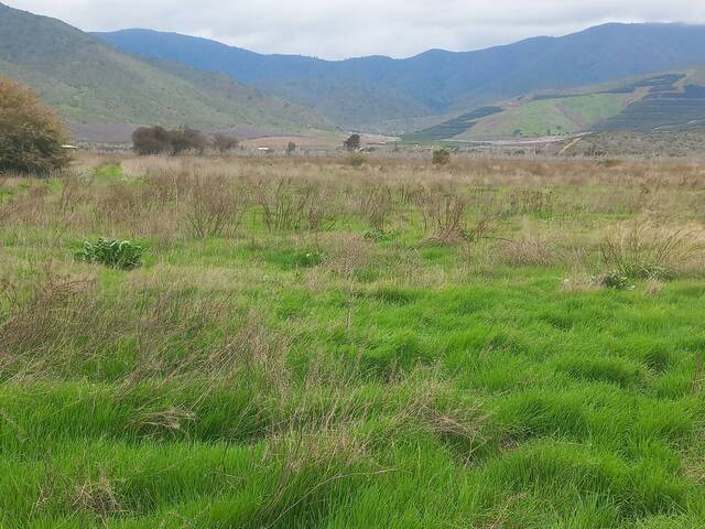 Quinta para Venta en Petorca - 4