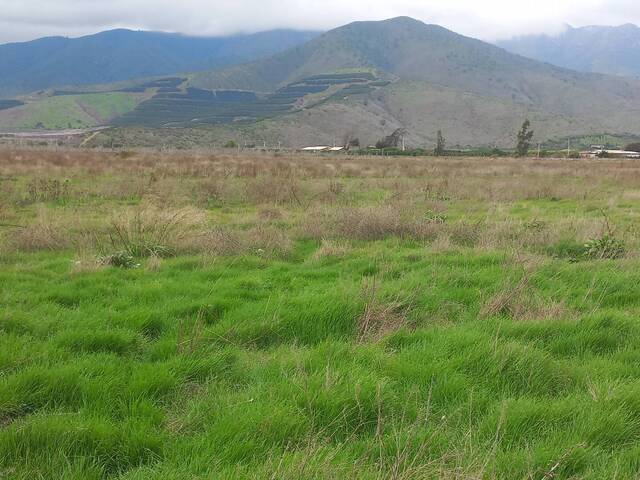 Quinta para Venta en Petorca - 5