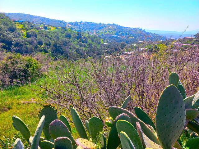 Venta en Cajon del Lebu - Limache