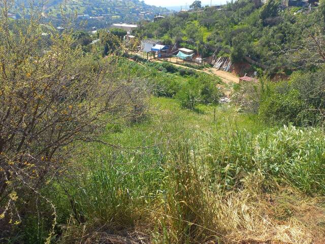 #25-017 - Parcela de agrado para Venta en Limache - V - 3