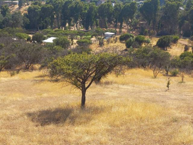 Quinta para Venta en Villa Alemana - 4